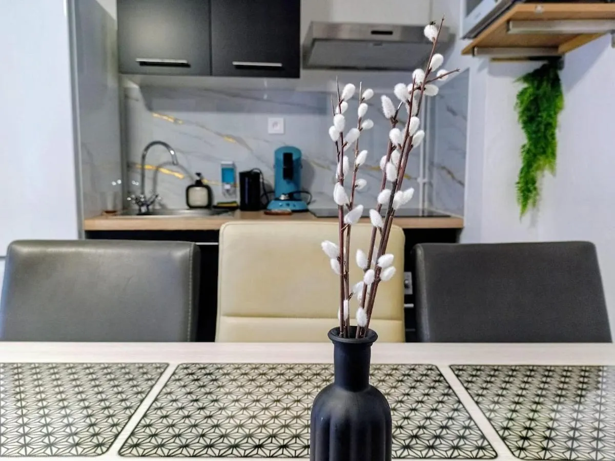 Appartement Cosy Centre Ville Foix